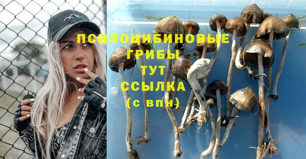 гашик Беломорск