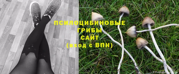 синтетический гашиш Белокуриха