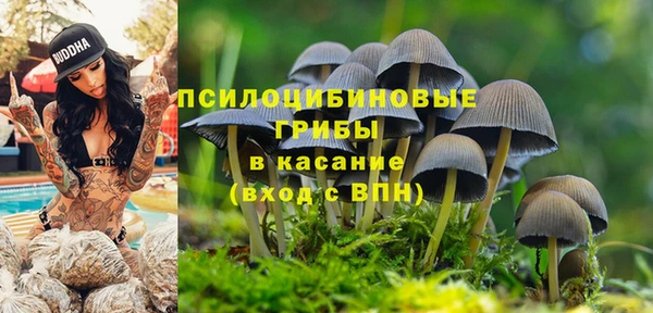 синтетический гашиш Белокуриха
