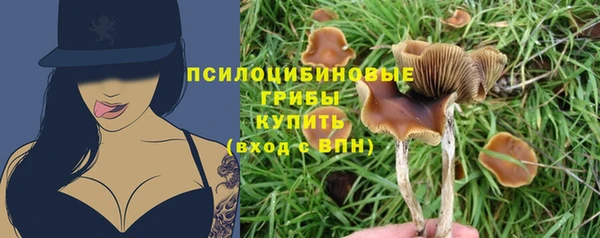 синтетический гашиш Белокуриха