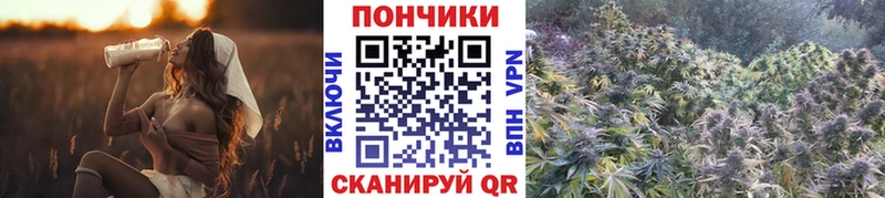 дарк нет состав  Ялуторовск  Шишки марихуана индика  купить закладку 